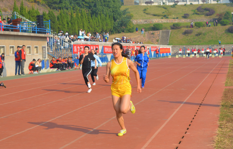 1509426208728054.png 1509426208728054.png