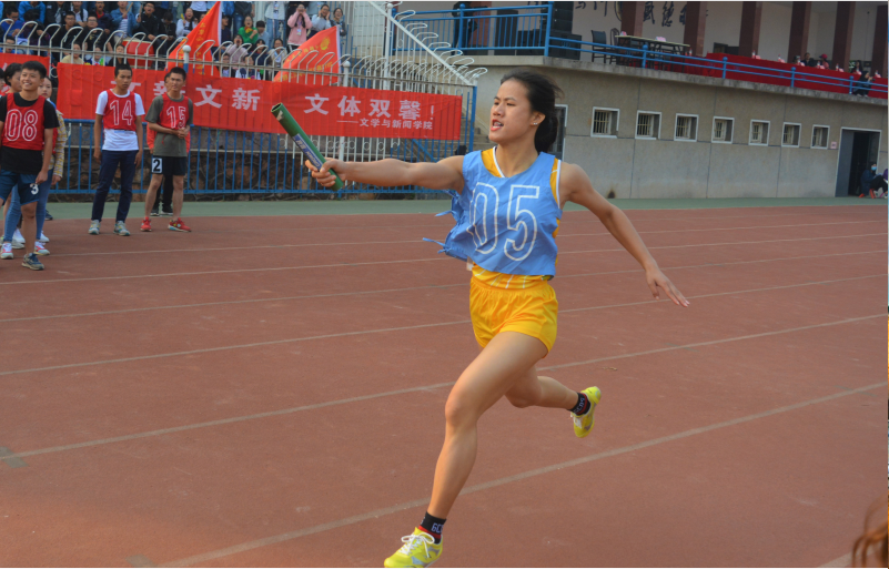 1509426364789245.png 1509426364789245.png