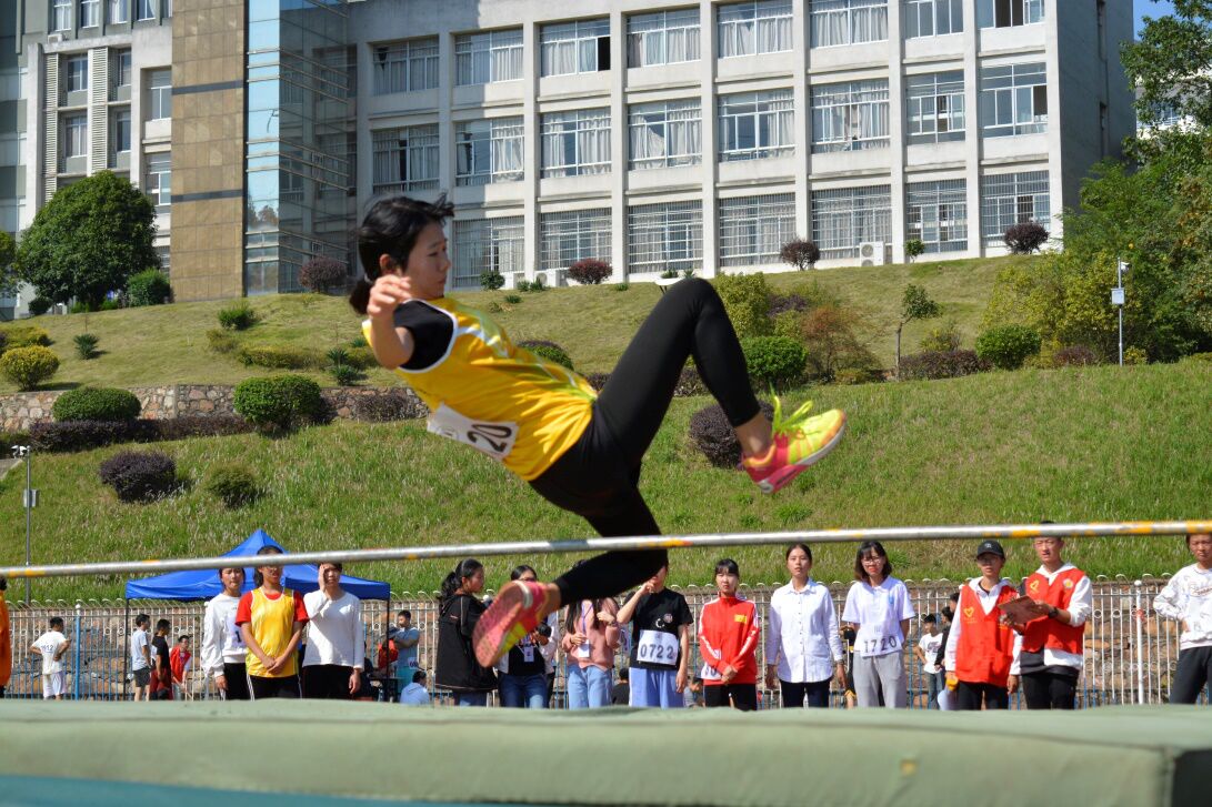 1540827866537079.jpg 1540827866537079.jpg