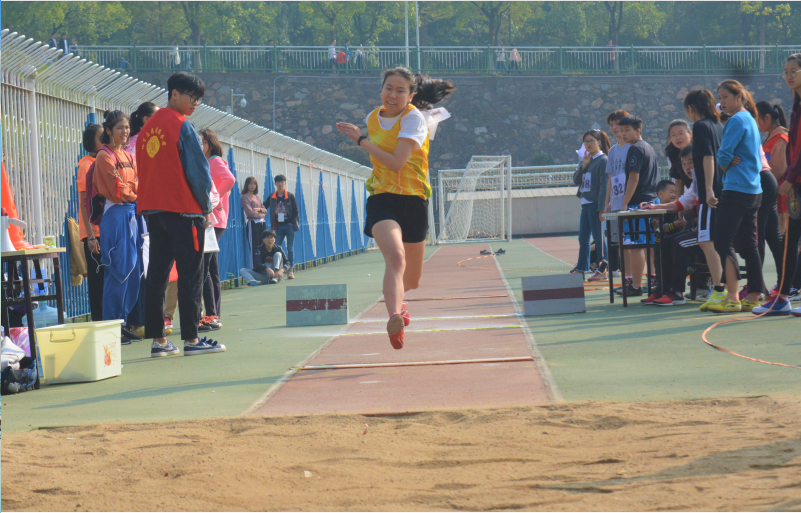 1509426162186327.png 1509426162186327.png